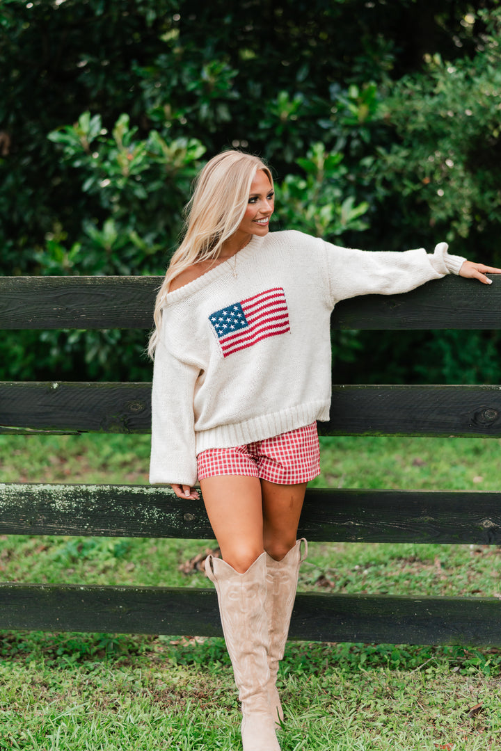 Brandi USA Flag Sweater (Ivory)