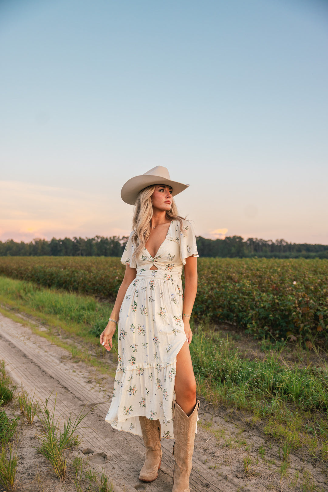 Somewhere In Between Dress