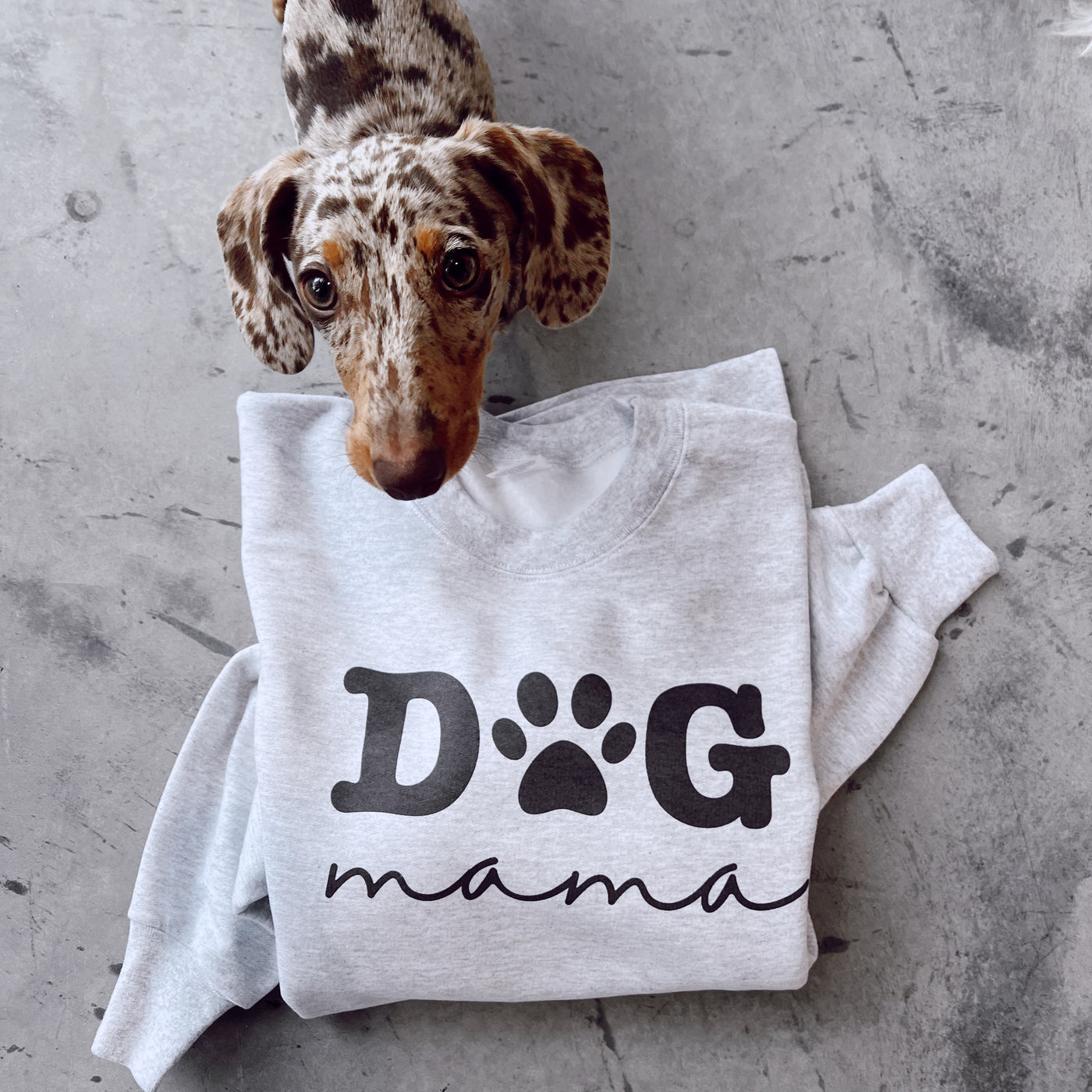 Dog Mama Graphic Sweater